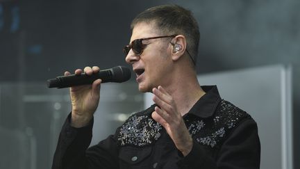 Le chanteur Etienne Daho aux Eurockéennes, à Belfort, en 2015. (HUGO MARIE / EPA)