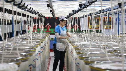 Une employée travaillant dans une usine textile à Binzhou, dans la province orientale du Shandong en Chine. (STR / AFP)