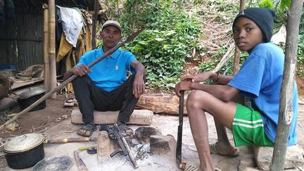 dans les forêts de la région de Sava, capitale mondiale de la vanille, se trouvent entre 25.000 et 30.000 hectares de plantations. Les cultivateurs sillonnent leurs champs armés de lances et de pistolets pour protéger les précieuses gousses. En 2017, les policiers ont arrêté près d’un millier de voleurs.
 (Clarel Faniry Rasoanaivo / Reuters)