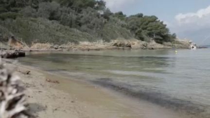 Porquerolles : l'île dépaysante de la Méditerranée