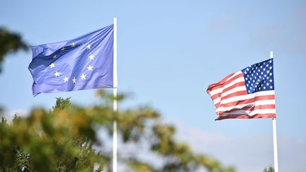 Avec&nbsp;l'arrivée de Joe Biden&nbsp;à la Maison Blanche il est probable que la température retombe sur les dossiers commerciaux entre l'Europe et les États-Unis. (Photo d'illustration) (JEAN-LUC FL?MAL / MAXPPP)