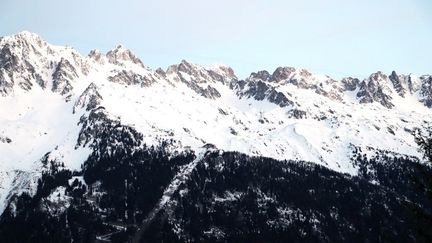 Le Mont-Blanc, vu de Chamonix (Haute-Savoie).&nbsp; (LUDOVIC MARIN / AFP)