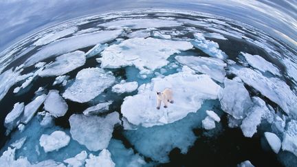 Dans leur nouveau rapport publi&eacute; le 27 septembre 2013, les experts du Giec alertent sur une importante hausse des temp&eacute;ratures d'ici 2100. (MIKE HILL / GETTY IMAGES)