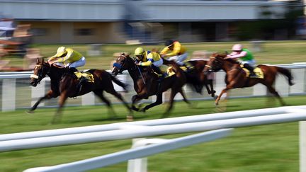 Une course de chevaux (photo archives) (ULI DECK / DPA)