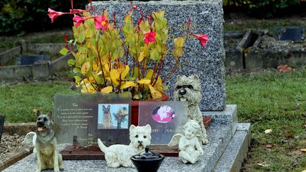 Le cimetière pour animaux de compagnie à Aspach-le-Bas (Haut-Rhin), le 26 octobre 2017. (THIERRY GACHON / MAXPPP)