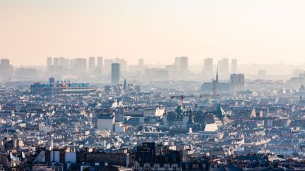 La pollution dans l'air de Paris, le 21 janvier 2016. (VOISIN / PHANIE / AFP)