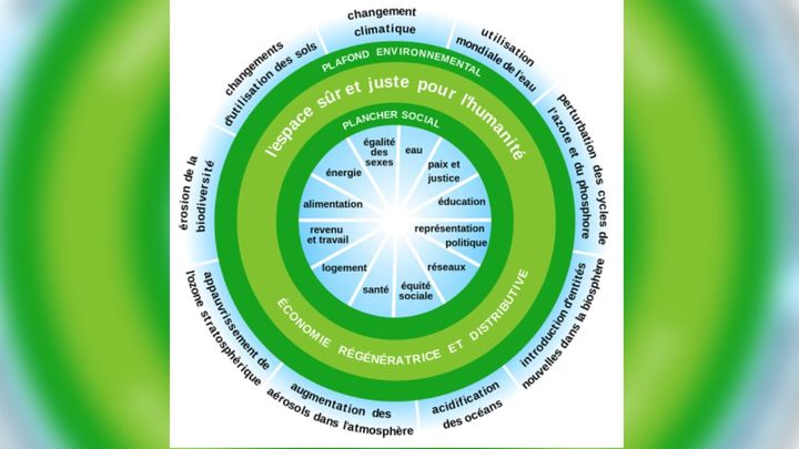 Schéma expliquant la "théorie du donut" de Kate Raworth (Capture d'écran notre-environnement.gouv.fr)