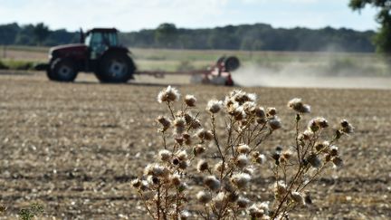 Pénurie de fourrage : des agriculteurs s'entraident