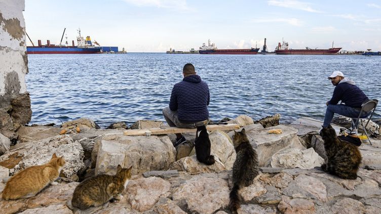 Dechets Italiens Importes Illegalement En Tunisie De Hauts Responsables Devant La Justice