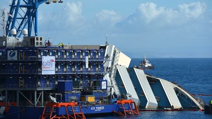 Les op&eacute;rations de redressement de l'&eacute;pave du paquebot "Costa Concordia", &eacute;chou&eacute; &agrave; l'entr&eacute;e du port de l'&icirc;le de Giglio (Italie) depuis janvier 2012, ont d&eacute;but&eacute;, le 16 septembre 2013. (VINCENZO PINTO / AFP)