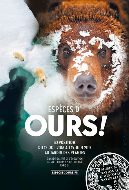 L'affiche de l'exposition consacrée aux ours au Musée d'histoire naturelle
 (Musée d&#039;histoire naturelle )