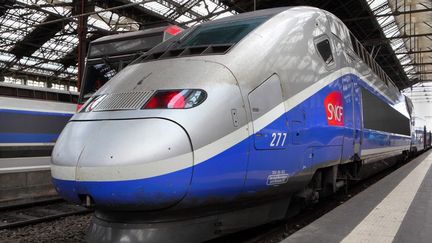 Un TGV gare de Lyon, à Paris, le 20 décembre 2020. (MANUEL COHEN / MANUEL COHEN / AFP)