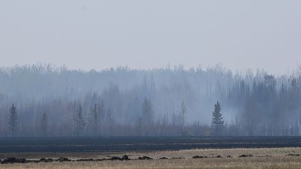 La fumée s'échappe d'un incendie qui couve encore à l'extérieur de Drayton Valley, Alberta, Canada, le 8 mai 2023. (WALTER TYCHNOWICZ / AFP)