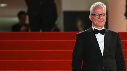 Thierry Frémaux au Festival de Cannes 2015
 (VALERY HACHE / AFP)