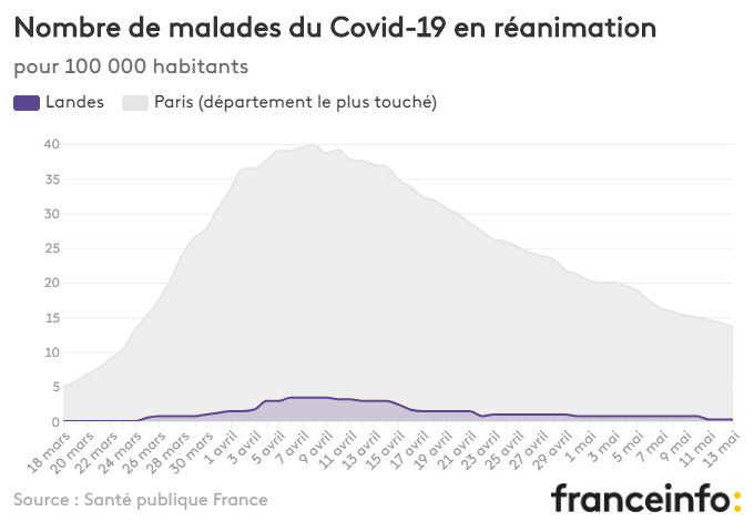 Nombre de malades du Covid-19 en réanimation pour 100 000 habitants. (FRANCEINFO)