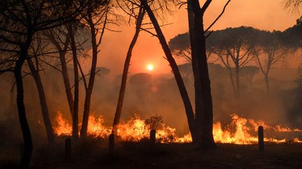 Incendies : 7 000 hectares partis en fumée dans le Var