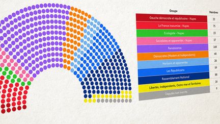 La répartition dans l'hémicycle de l'Assemblée nationale en fonction des groupes politiques, au 29 juin 2022. (ELLEN LOZON / FRANCEINFO)