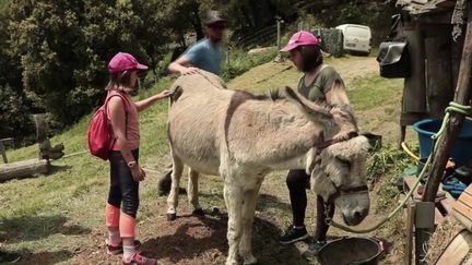 Cévennes : sur les traces de Stevenson