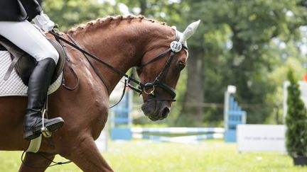 Tendance : tous en selle !