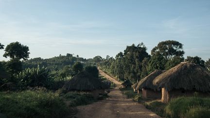 Une route entre Kirumba et Kanyabayonga, dans le nord de la province du Nord Kivu, en République démocratique du Congo, le 14 mai 2024. (ALEXIS HUGUET / AFP)