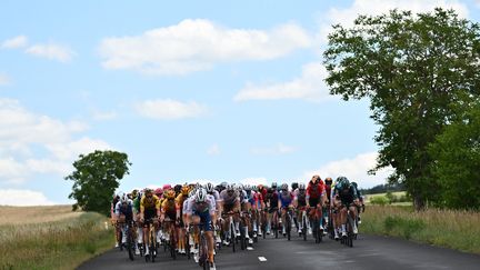 Les coureurs du Criterium du Dauphiné lors de l'étape entre Saint-Paulien et Chastreix-Sancy, le 7 juin 2022. (MARCO BERTORELLO / AFP)