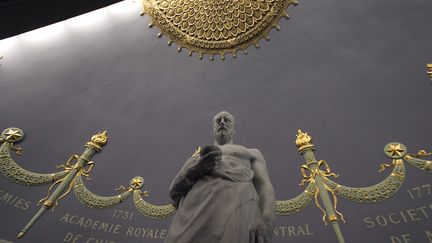 La statue d'Hippocrate à l'Académie nationale de médecine, à Paris.&nbsp; (JOEL SAGET / AFP)