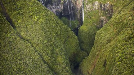 La r&eacute;gion des Pitons de l'&icirc;le de la R&eacute;union avec ses cirques et remparts a&nbsp;obtenu le pr&eacute;cieux s&eacute;same en 2010.&nbsp;Domin&eacute; par deux pics volcaniques, le paysage compos&eacute; de gorges et de bassin bois&eacute;s est spectaculaire. (BLANCHOT PHILIPPE / HEMIS.FR / AFP)