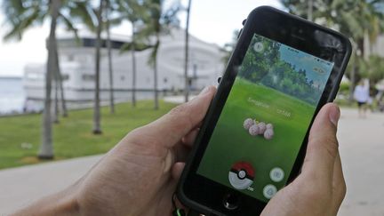 Exeggcute, un Pokemon, est trouvé par un joueur de Pokemon Go à Miami.
 (Alan Diaz/AP/SIPA)