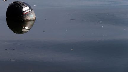 l'une des légendes brésiliennes de la voile olympique, ou encore Allan Norregaard, le champion danois, venus en repérage dans la baie ont heurté de nombreux objets lors de leur traversées. Ils en ont conclu qu'il était risqué d’y circuler et que cela pouvait avoir un impact sur le résultat des épreuves. (Reuters/Sergio Moraes)