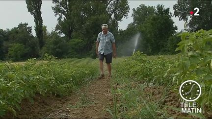 Sécheresse : les agriculteurs d'Occitanie fortement impactés