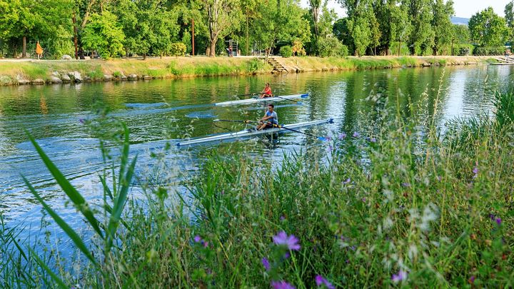 A Mandelieu-La-Napoule, on peut faire de l'aviron sur la Siagne, fleuve qui traverse cette cité nautique et balnéaire. (MOIRENC_CAMILLE)