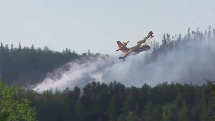 Incendies au Canada : le Québec ravagé à son tour par les flammes (France 2)