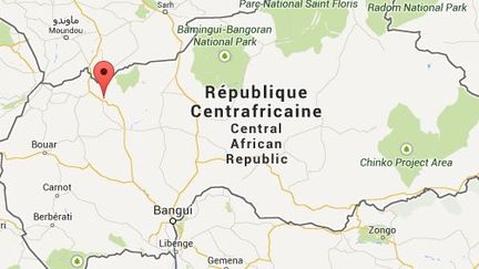 La ville de Nanga Boguila (indiqu&eacute;e par le rep&egrave;re rouge) est situ&eacute;e &agrave; 450 km au nord-ouest de la capitale centrafricaine, Bangui. ( GOOGLE MAPS / FRANCETV INFO )