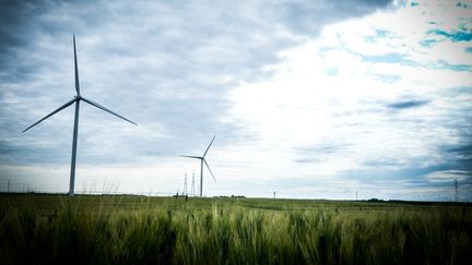 Éoliennes : Élisabeth Borne s'inquiète de leur développement anarchique en France