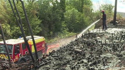 En raison de la végétation très sèche, du vent et de l'absence de pluie, le département des Pyrénées-Orientales a été placé en risque incendie très sévère, au moins jusqu'au mercredi 17 mai. (FRANCEINFO)