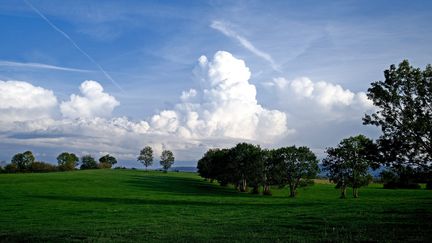 Un paysage verdoyant dans le Jura, le 11 octobre 2022 à Plasne. (MAXPPP)