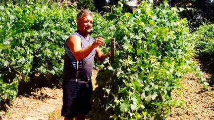 &nbsp; (Augusto, saisonnier portugais venu pour l’été travailler la vigne sur les coteaux du Pic Saint-Loup près de Montpellier © Mathilde Lemaire / RF)