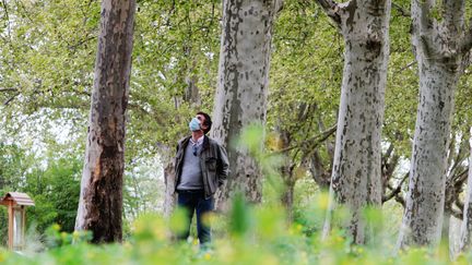 &nbsp; (Alerte aux allergies cette semaine sur une grande partie de la France. Le pollen de bouleau responsable. © MaxPPP)