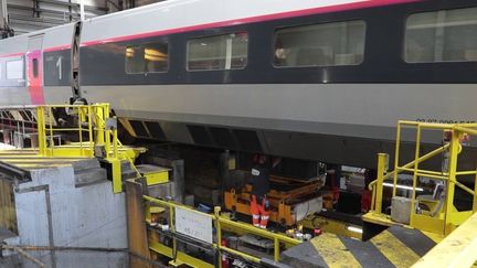 La SNCF prévoit de transporter plus de 23 millions de voyageurs cet été. Un chiffre en hausse par rapport à l'année 2022 qui pose toutefois une question : la compagnie est-elle prête à affronter cette période estivale ? (FRANCEINFO)