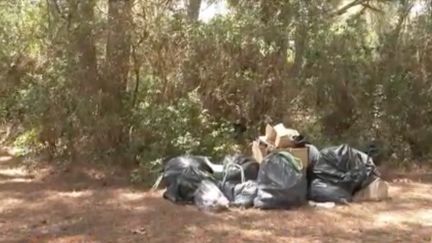 Alpes-Maritimes :&nbsp;les visiteurs des îles de Lérins sommés de garder leurs déchets (France 3)