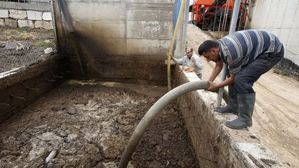 ils se sont dit que «c'était une honte de laisser tout ce fumier se perdre, polluer l'environnement alors qu'on peut le transformer en électricité». (Hazem Bader/AFP)