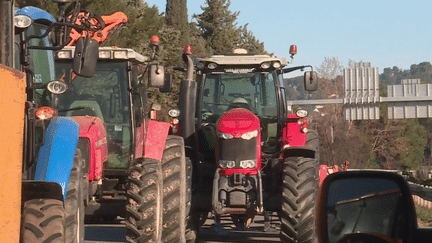 Colère des agriculteurs : une levée des barrages à contre-cœur (France info)