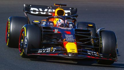 Le Néerlandais Max Verstappen durant les qualifications du Grand Prix de Hongrie, le 22 juillet 2023. (BEATA ZAWRZEL / AFP)