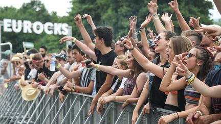 Des fans du groupe britannique Idles assistent à leur concert lors du festival des Eurockéennes de Belfort (Territoire de Belfort), le 7 juillet 2017.&nbsp; (SEBASTIEN BOZON / AFP)