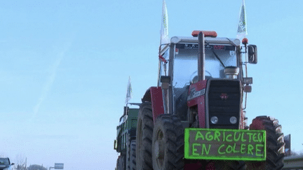 VRAI OU FAUX. Les affirmations des agriculteurs sur les importations sont-elles correctes ? (France 2)