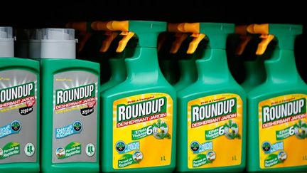 &nbsp; (Le glyphosate est le composant essentiel du Roundup de Monsanto © REUTERS / Charles Platiau)