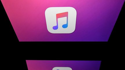 L'application iTunes avait été créée en 2001 pour l'iPod. (LIONEL BONAVENTURE / AFP)