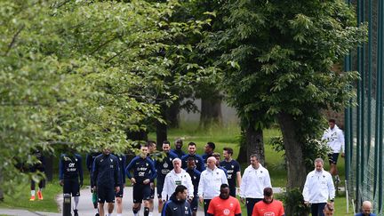 Les Bleus sortent du bois (FRANCK FIFE / AFP)