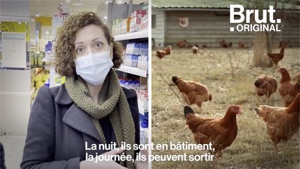 Ça vient d'une poule élevée en cage ou en plein air ? Quand on achète des œufs, il existe un moyen très simple de le savoir…