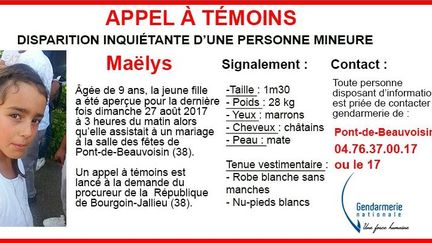 L'appel à témoins publié par la Gendarmerie nationale sur son compte Twitter, lundi 28 août.&nbsp; (GENDARMERIE NATIONALE)